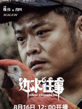BIM应用公司